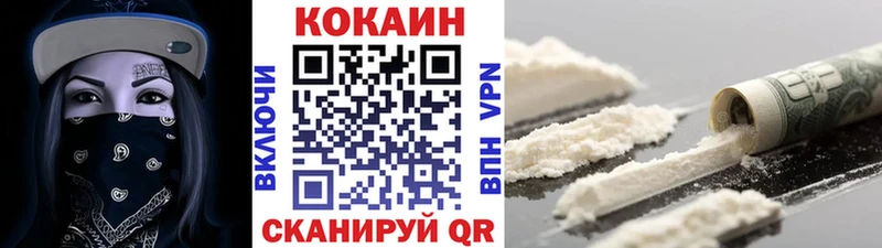 COCAIN Fish Scale  Дмитриев 
