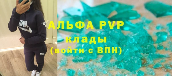 сатива Верея